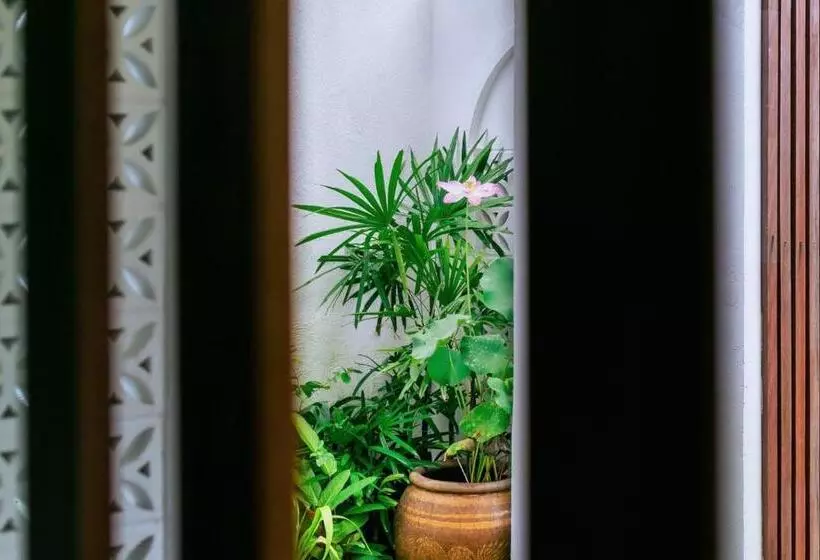 ホテル Phang Nga Origin