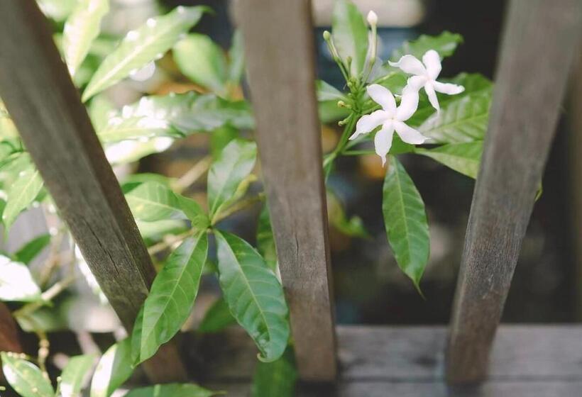 Hotel Phang Nga Origin