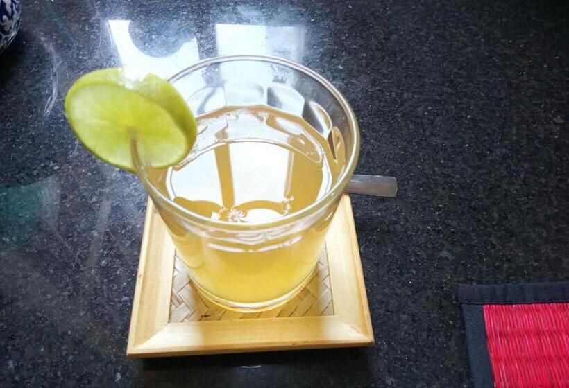 Pensión Seagull Guesthouse Kampot