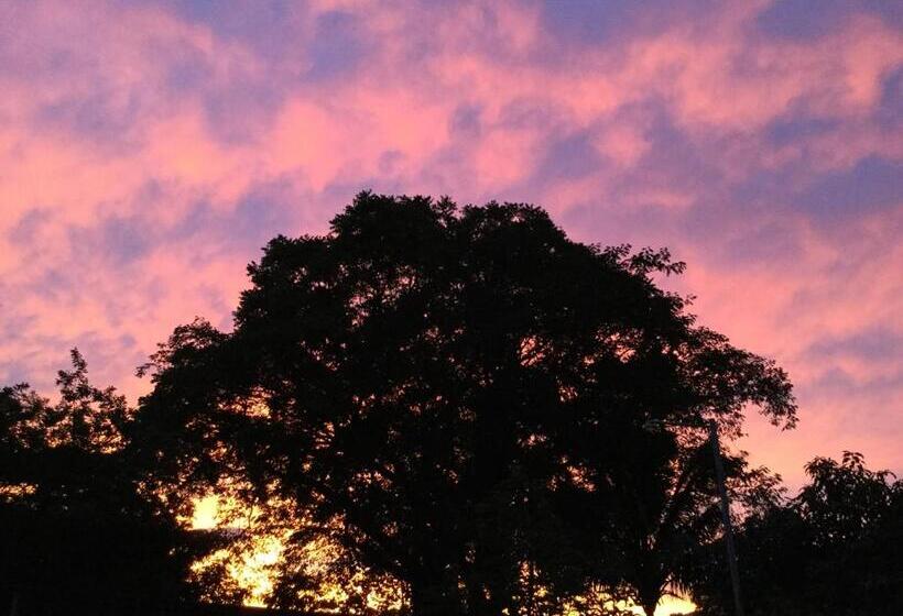 بنسيون Villas El Cenizaro