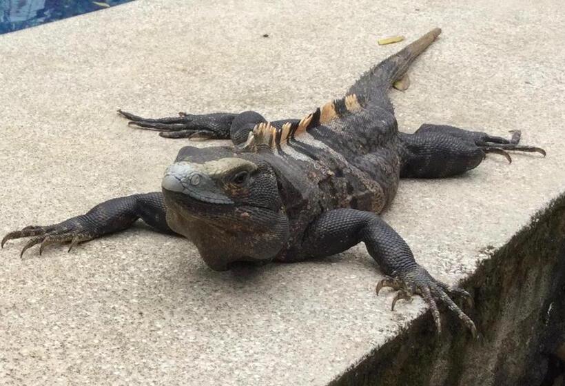 بنسيون Villas El Cenizaro