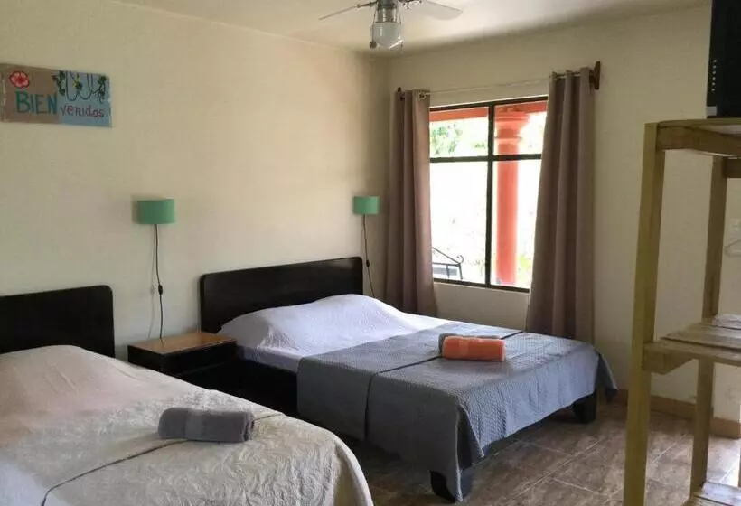 ペンション Villas El Cenizaro