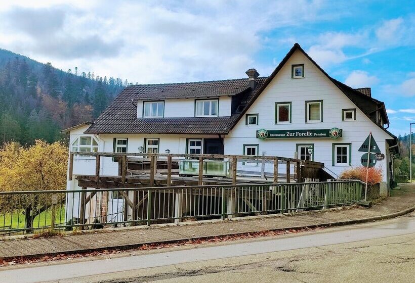 Room In Guest Room  Pension Forelle  Double Room No01