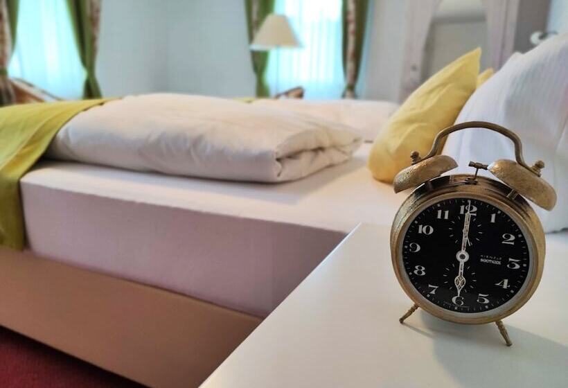 Room In Guest Room  Pension Forelle  Double Room No01