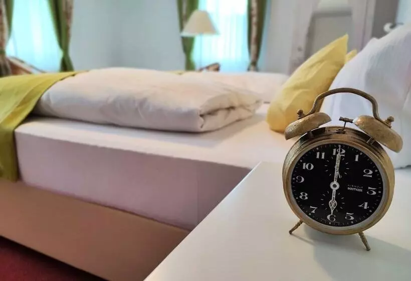 Room In Guest Room  Pension Forelle  Double Room No01