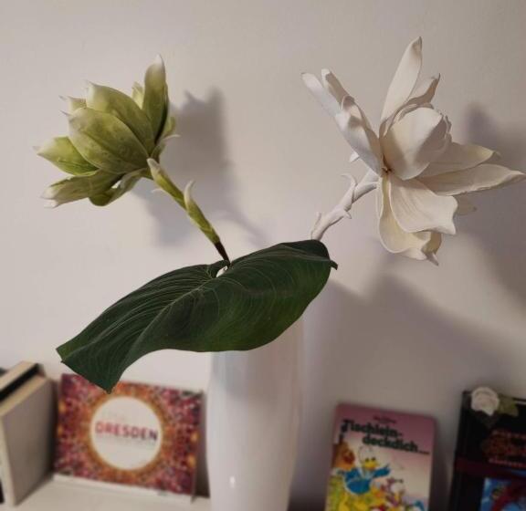 Room In Guest Room  Pension Forelle  Double Room No01