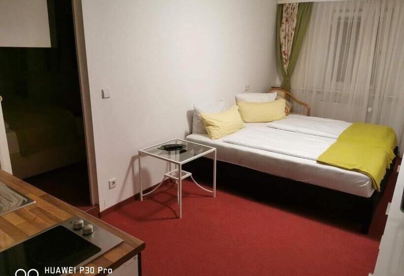 Room In Guest Room  Pension Forelle  Double Room No01