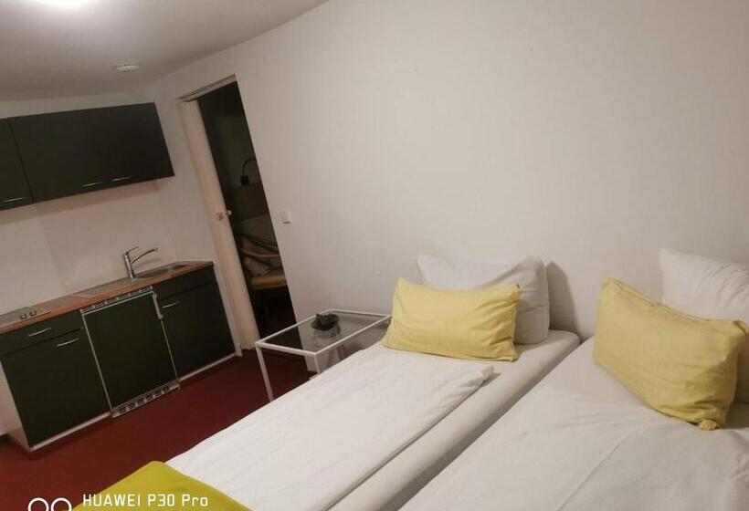 Room In Guest Room  Pension Forelle  Double Room No01