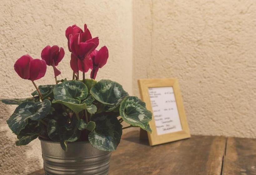 旅馆 Suisse Locanda Di Borgo