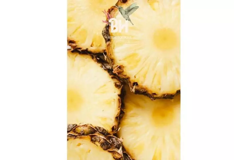 Bunde Haus Hotel Express Boutique