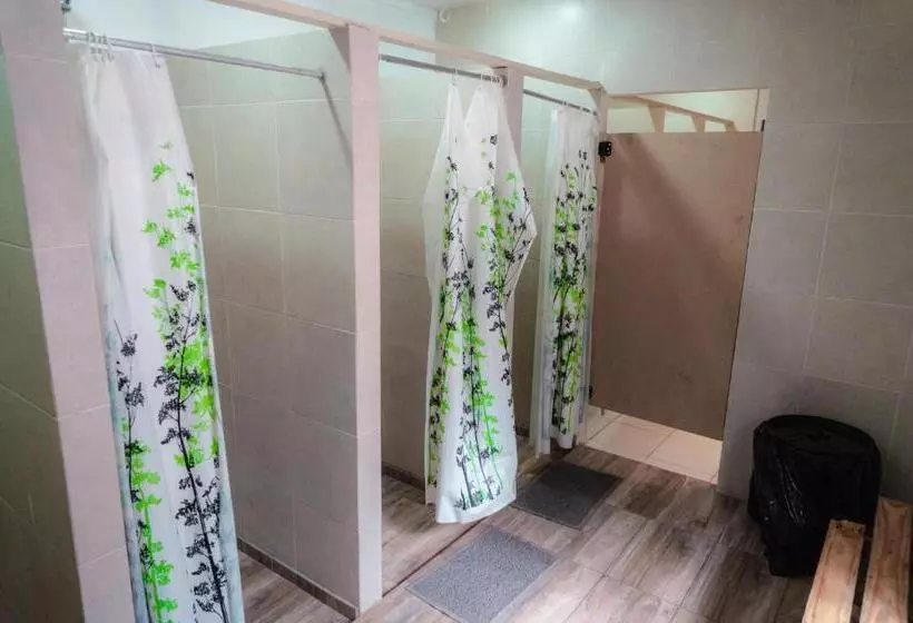 Clover Hostel