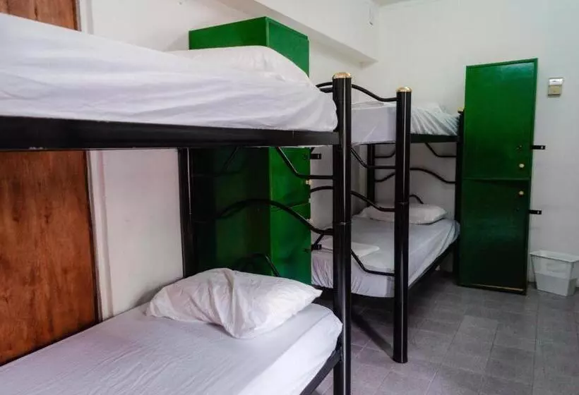 Clover Hostel