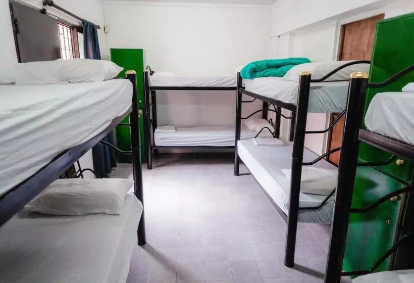Clover Hostel