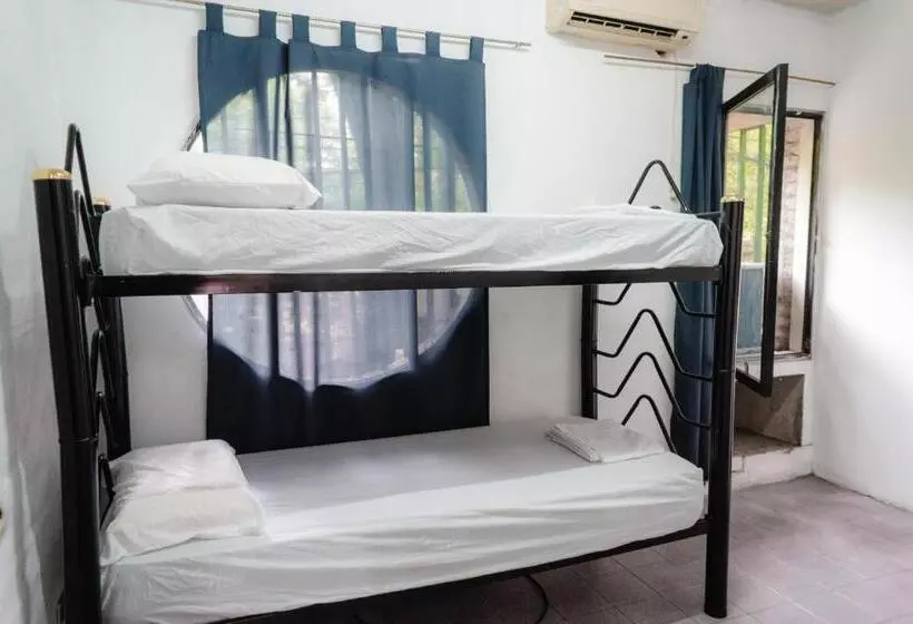 Clover Hostel