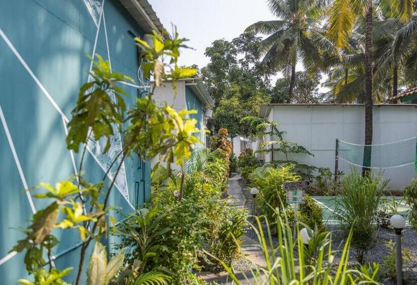 Hotelli Crystall Goa Turquoise Edition