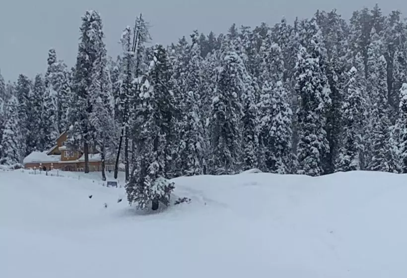 Hotelli Gulmarg Ski Hill Resort