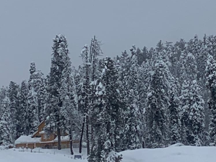 Hotel Gulmarg Ski Hill Resort