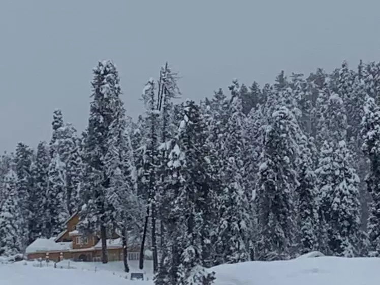 Hotelli Gulmarg Ski Hill Resort