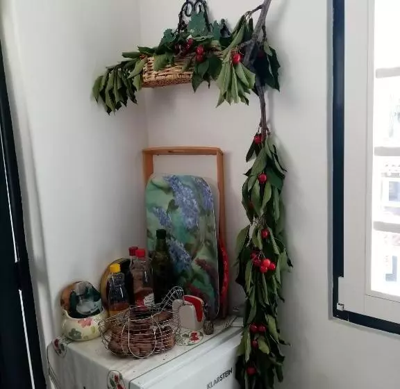 پانسیون Casa Da Judiaria Velha