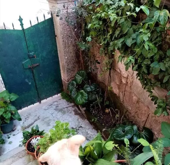 پانسیون Casa Da Judiaria Velha