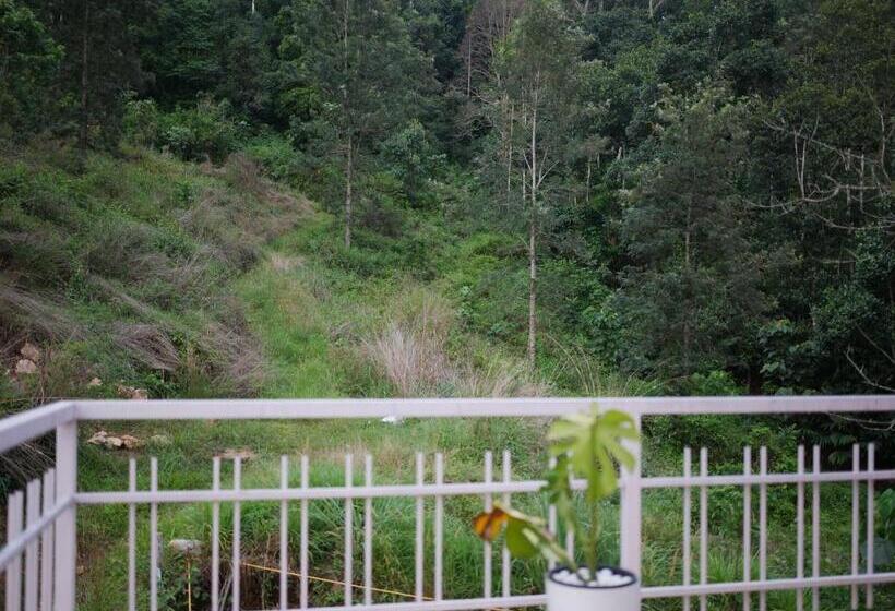 Pensjonat Creek Way Munnar