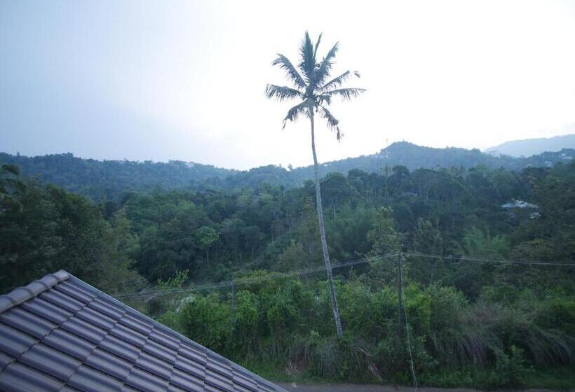 Pensjonat Creek Way Munnar