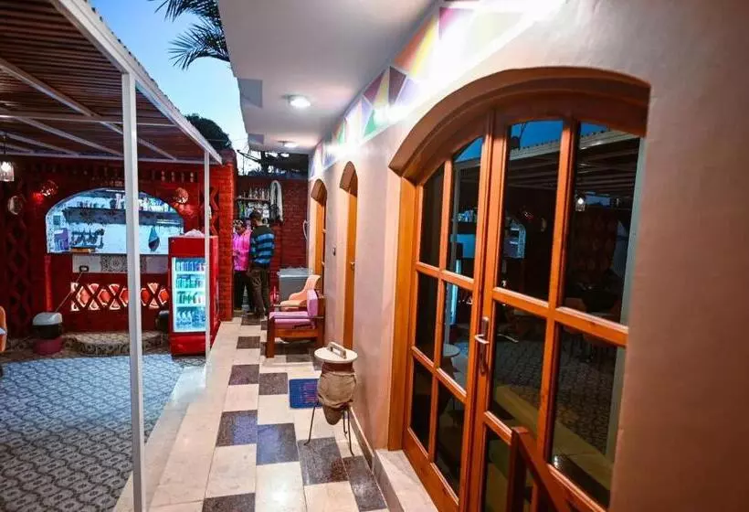 پانسیون Kana Kato