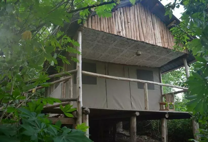 تختخواب و صبحانه Kibale Chimps Villas Lodge And