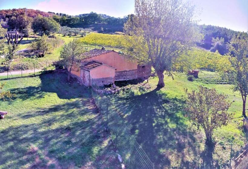 Отель Large Farmhouse In Umbria Swimming Pool Cinema Room Transparent Geodesic Dome