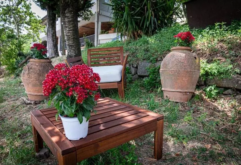 Hotelli Le Camere Di Mario