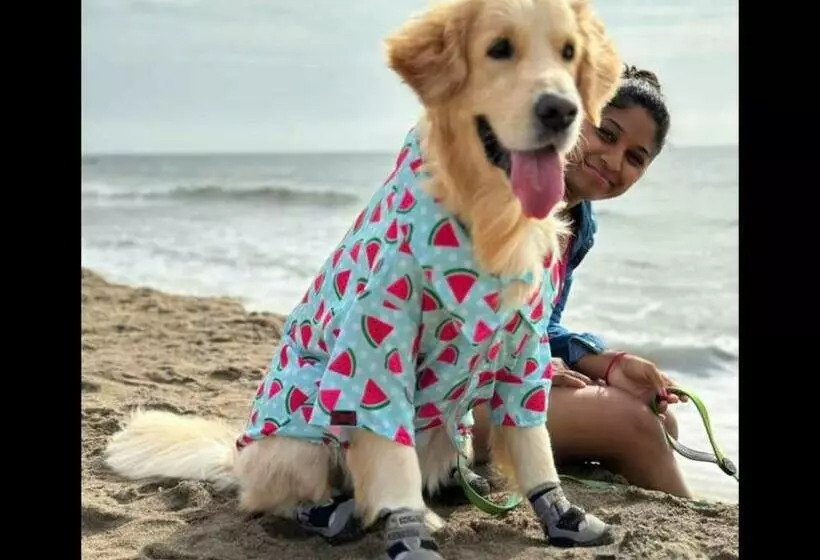 هتل Le Poshe Beachview