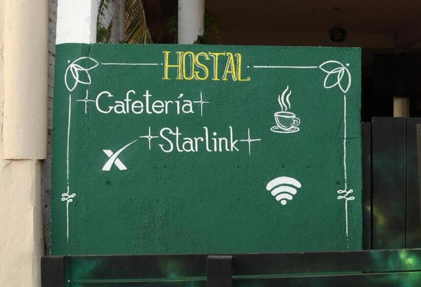 膳宿费 Maracuyá Hostal Zipolite   Coworking Space