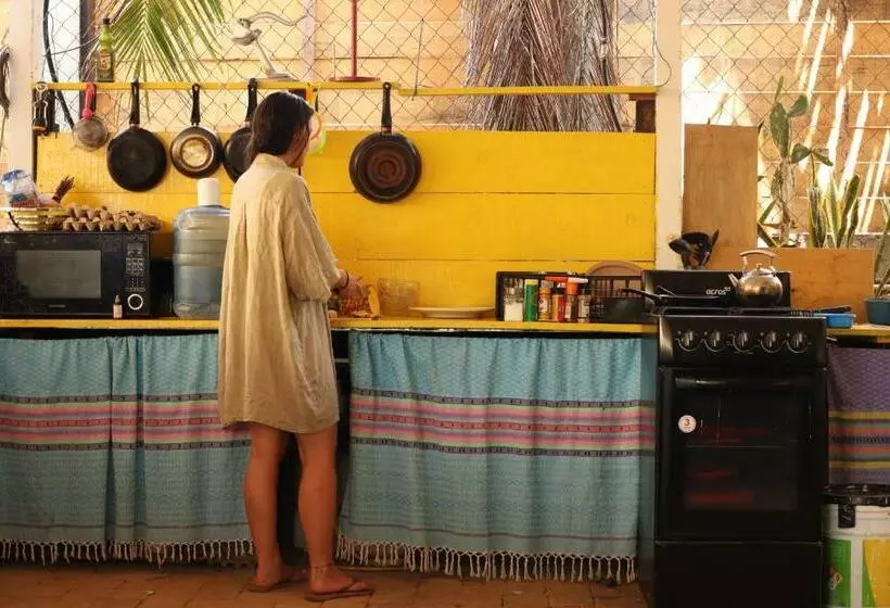 Majatalo Maracuyá Hostal Zipolite   Coworking Space