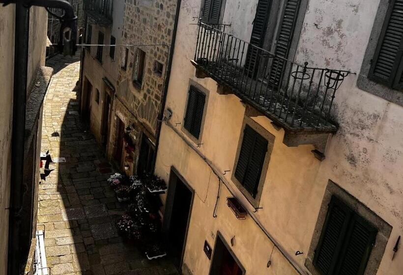 ベッドアンドブレックファースト Alma Bnb