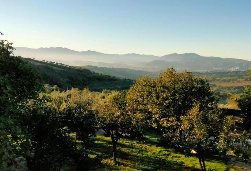 تختخواب و صبحانه Casale Del Tempo Lento