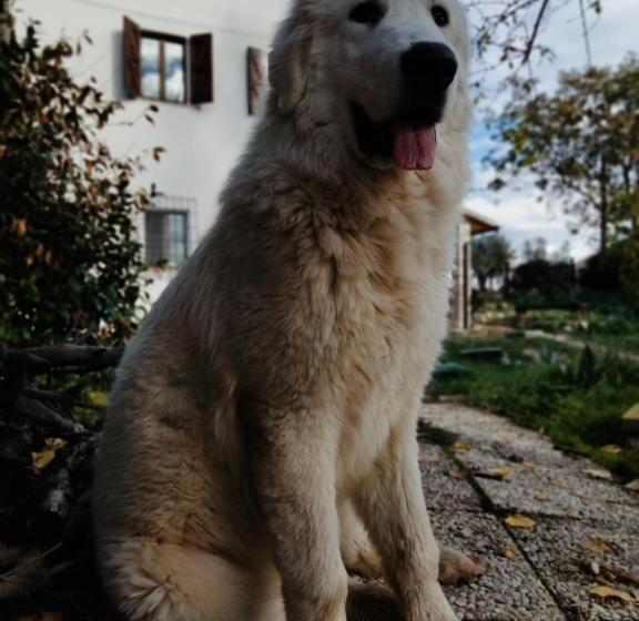 تختخواب و صبحانه Casale Del Tempo Lento