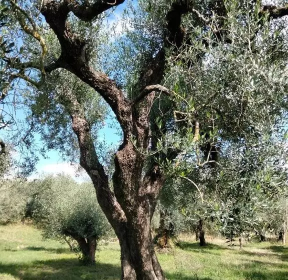 تختخواب و صبحانه Casale Del Tempo Lento
