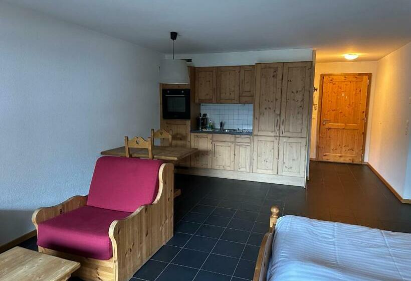 Mountain River Appart