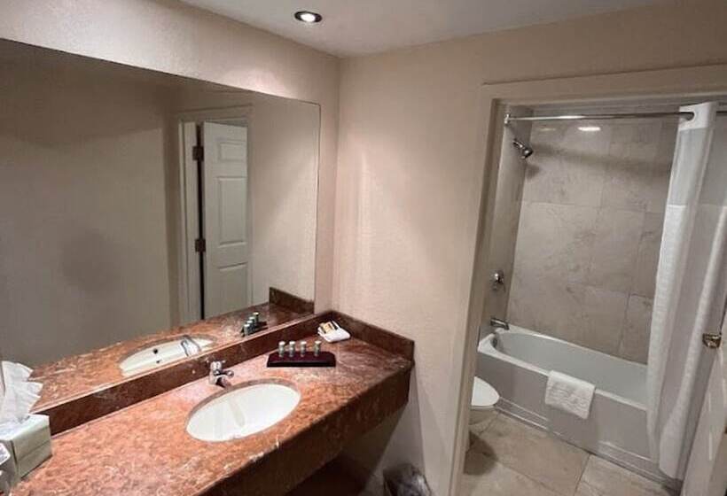 هاستل Bposhtels Tampa