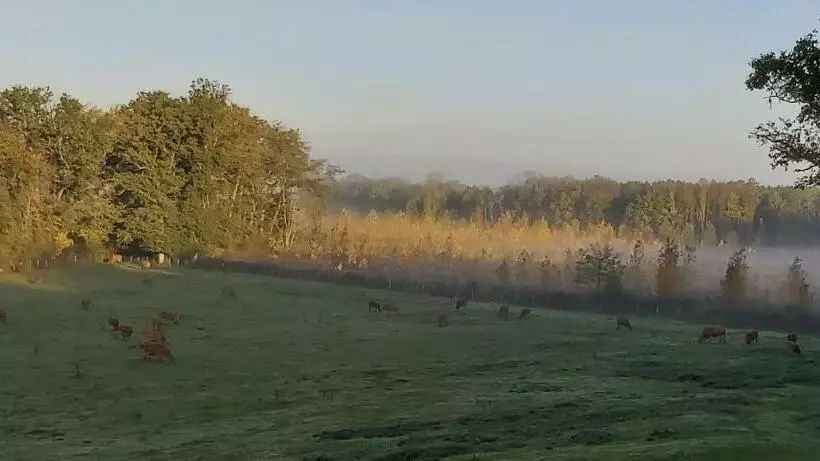 ベッドアンドブレックファースト Les Roulottes Des Ris