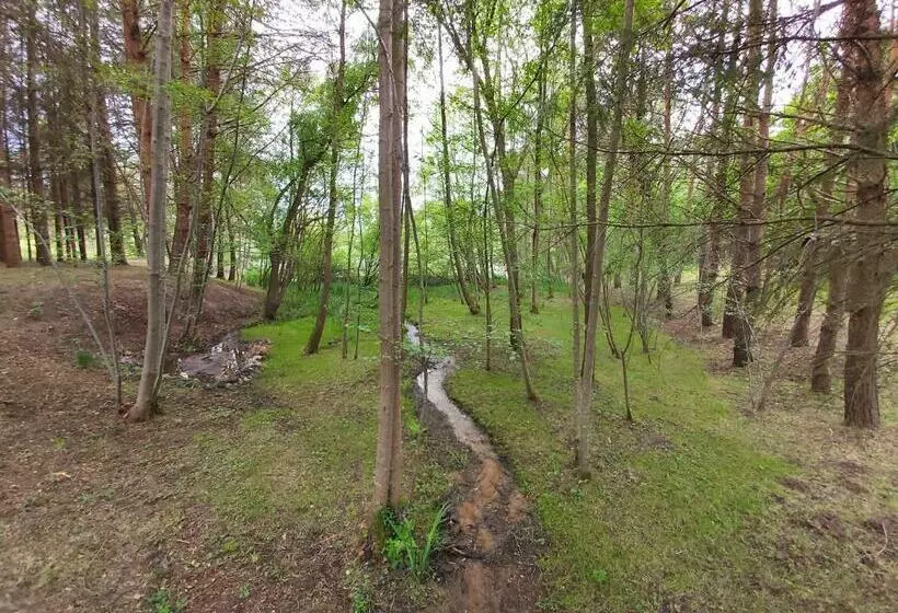 ベッドアンドブレックファースト Les Roulottes Des Ris