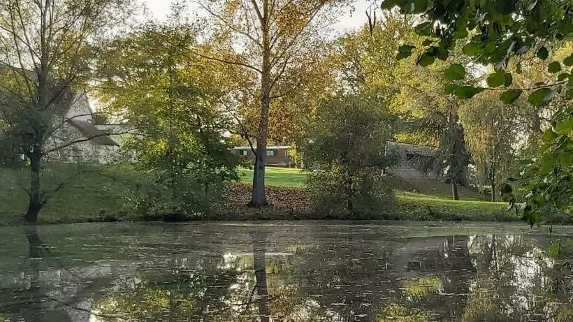 ベッドアンドブレックファースト Les Roulottes Des Ris