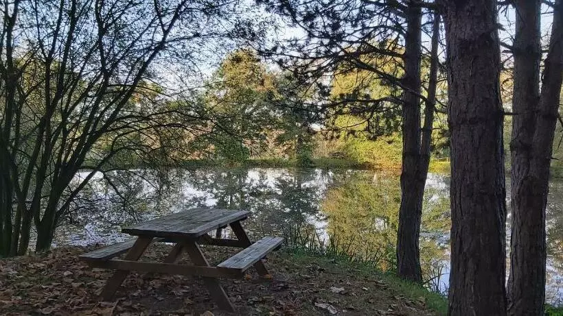 ベッドアンドブレックファースト Les Roulottes Des Ris