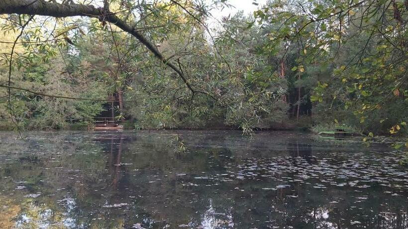 צימר Les Roulottes Des Ris