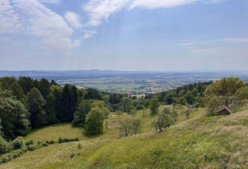 تختخواب و صبحانه Vilaraj