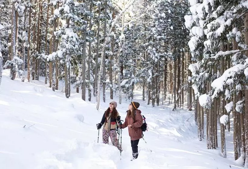 Hotelli Little Japan Echigo