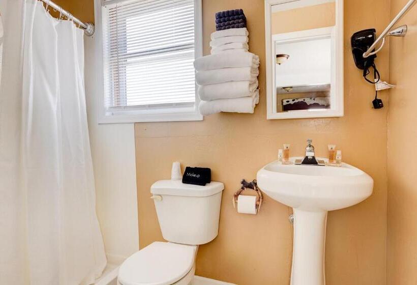 فندق على الطريق Lodge At Poncha Springs