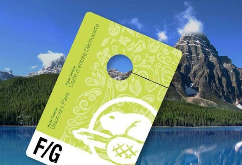 Mountain Retreat, Pool & Hot Tub, Bbq, Patio, King Bed, Sleeps 6!