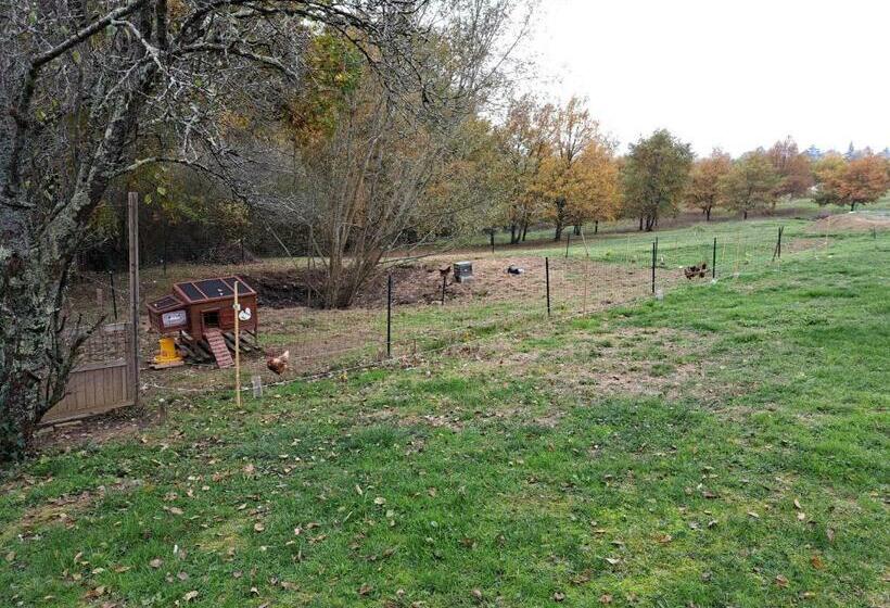 بنسيون Lou Majyla