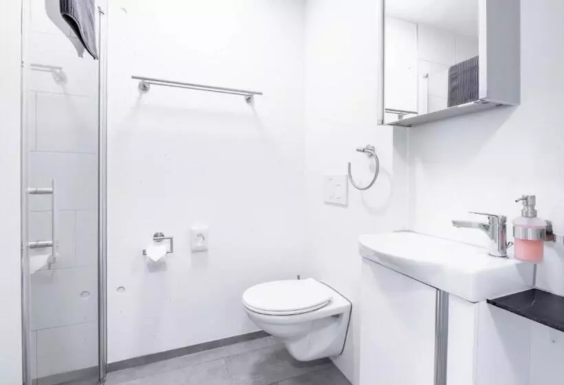 Anstatthotel Goldau   Self Check In